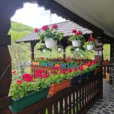 Guest house Pastravaria Rin *